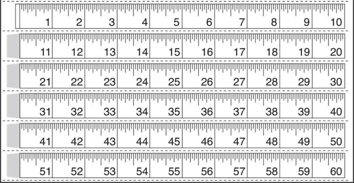 Printable Paper Ruler