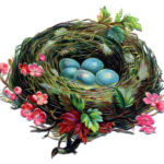 30 Nest Clipart Images!   The Graphics Fairy Within Bird Nest Printable Paper