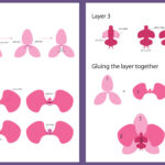 3D Orchid Layered Flower Svg Png. Paper Flowers Template Inside Free Printable Paper Orchid Template