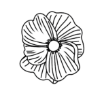 40 Poppy Templates: Remembrance Day Activities   World Of Printables Inside Printable Paper Poppy Template