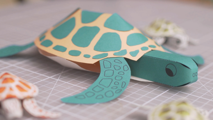Printable Paper Turtle Craft