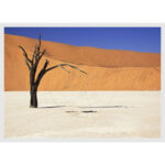 Desert, Schaufensteraufkleber Und Fensterfolien Online Bestellen With Desert Printable Paper