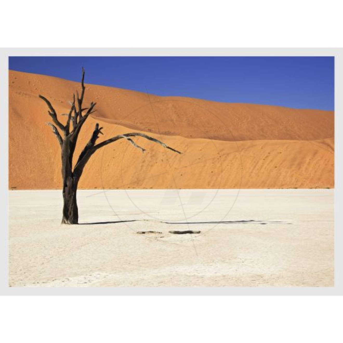 Desert, Schaufensteraufkleber Und Fensterfolien Online Bestellen with Desert Printable Paper