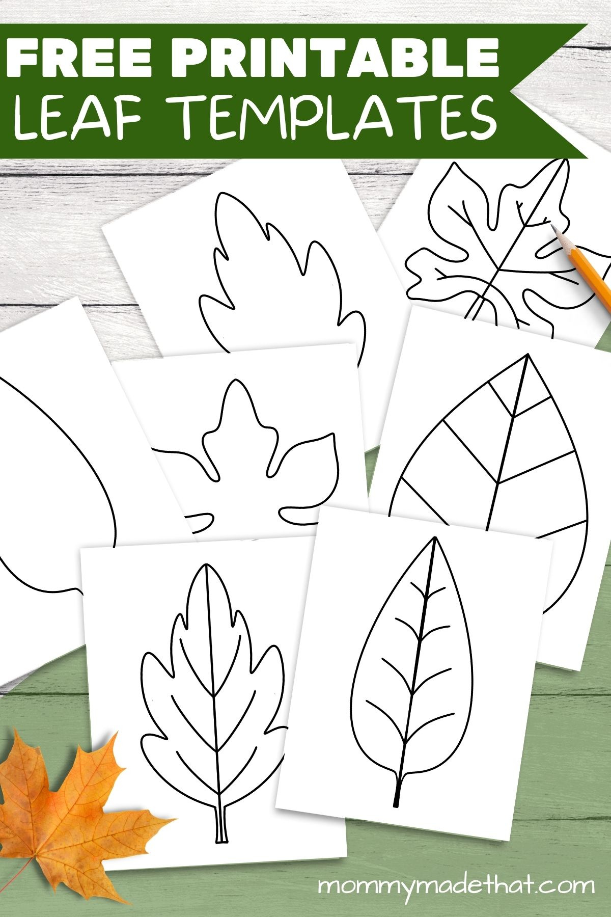 Free Leaf Templates &amp;amp; Outlines: Tons Of Printables!! pertaining to Printable Paper Leaves