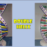 How To Make 3D Dna Model (From Paper & Stick) Intended For Printable Paper Dna Model Template