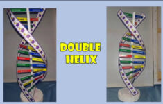 How To Make 3D Dna Model (From Paper &amp; Stick) intended for Printable Paper Dna Model Template