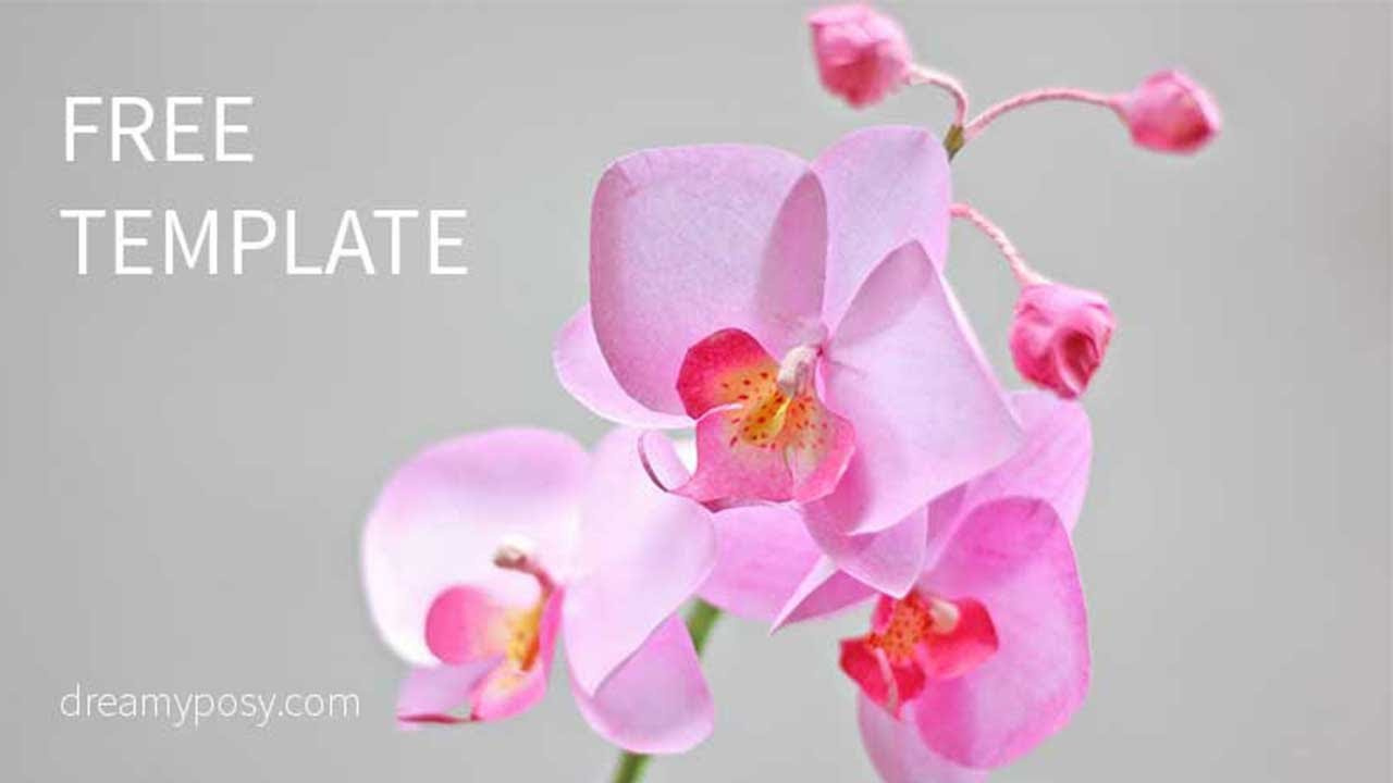 How To Make Orchid Paper Flower From Printer Paper, Free Template intended for Free Printable Paper Orchid Template