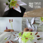 How To Make Paper Lily Flower From Printer Paper, Free Template Inside Printable Paper Lily Template
