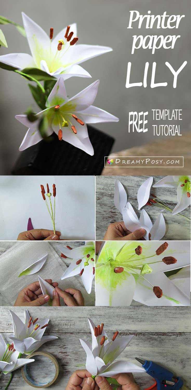 How To Make Paper Lily Flower From Printer Paper, Free Template inside Printable Paper Lily Template