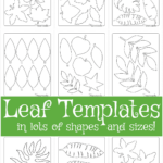 Leaf Template | Free Printable Leaf Outlines For Kids With Regard To Printable Paper Leaves