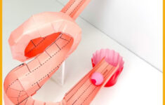 Paper Roller Coaster Stem Challenge - Fun With Mama for Printable Paper Roller Coaster