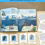 Parts Of An Iceberg Montessori Antarctica Printable Activity Within Iceberg Printable Paper