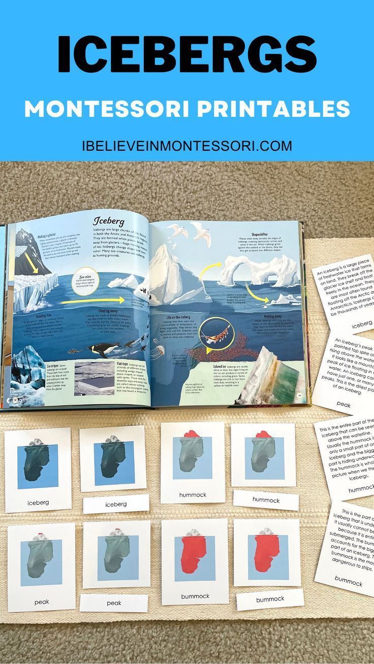 Parts Of An Iceberg Montessori Antarctica Printable Activity within Iceberg Printable Paper
