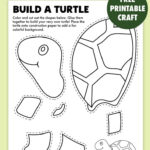 Pinjennifer Marie On Turtle Activities For Kids In 2025 For Printable Paper Turtle Craft