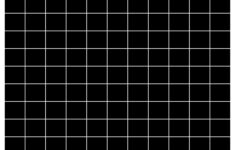 Printable Graph Paper Collection - Worksheets Library pertaining to Printable Graph Paper Dark Lines