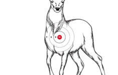 Printable Shooting Targets And Gun Targets • Nssf in Printable Paper Targets For Shooting Range