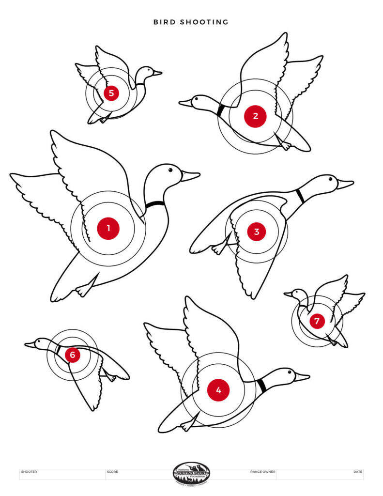 Printable Shooting Targets And Gun Targets • Nssf inside Printable Paper Targets