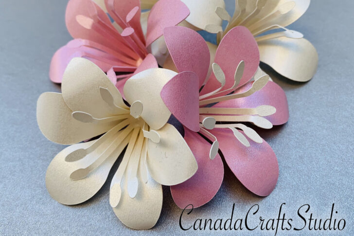 Printable Paper Lily Template