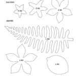 Templates In Printable Paper Flower Template Free