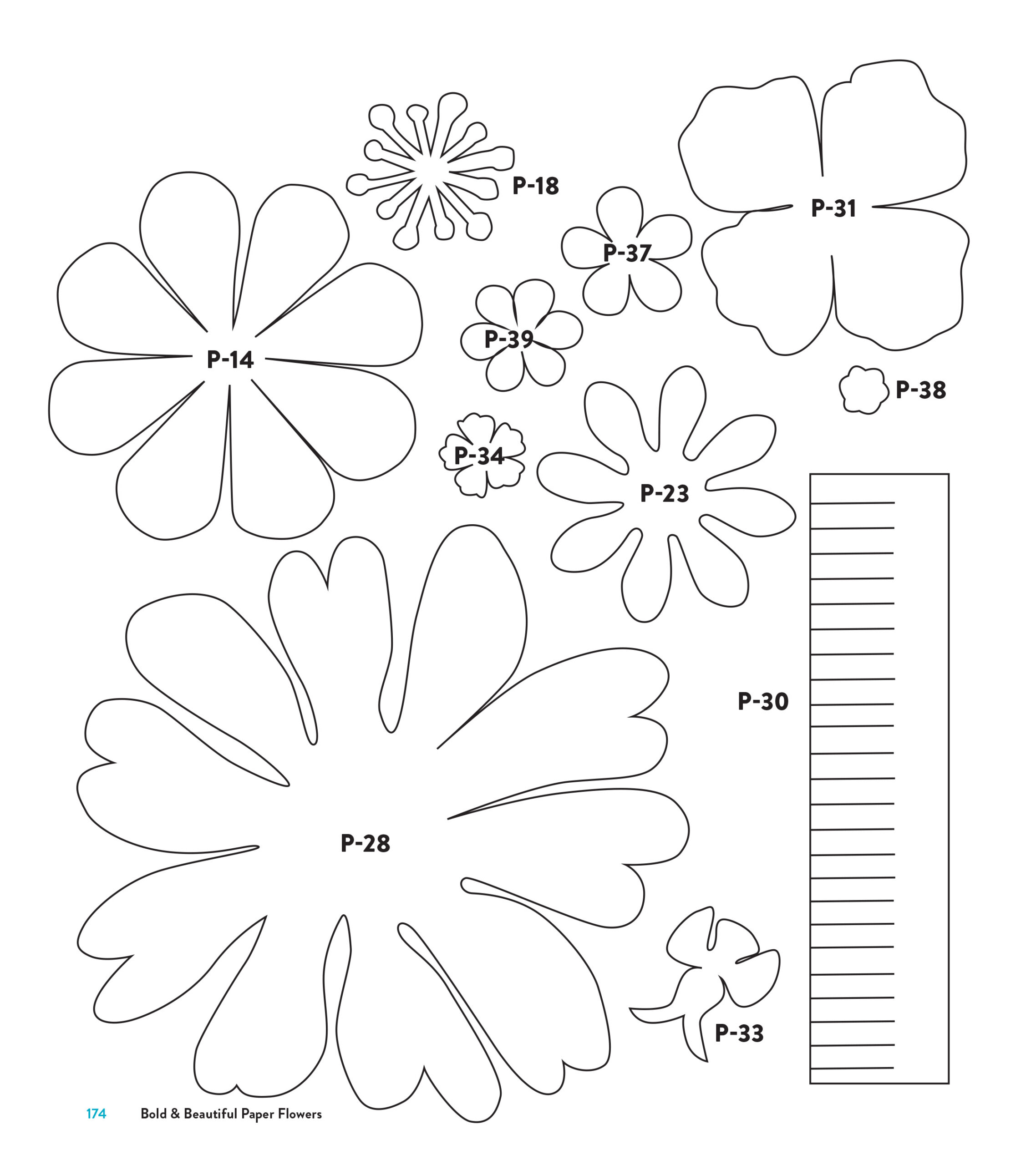 Templates within Printable Paper Flower Template Free